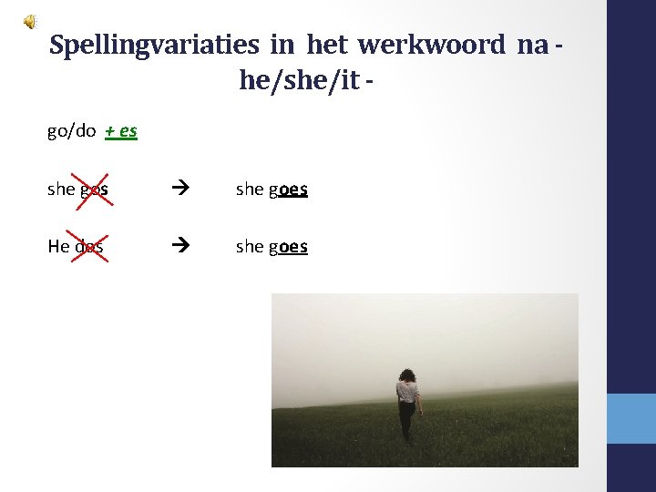 Spellingvariaties in het werkwoord na he/she/it go/do + es she goes He dos she