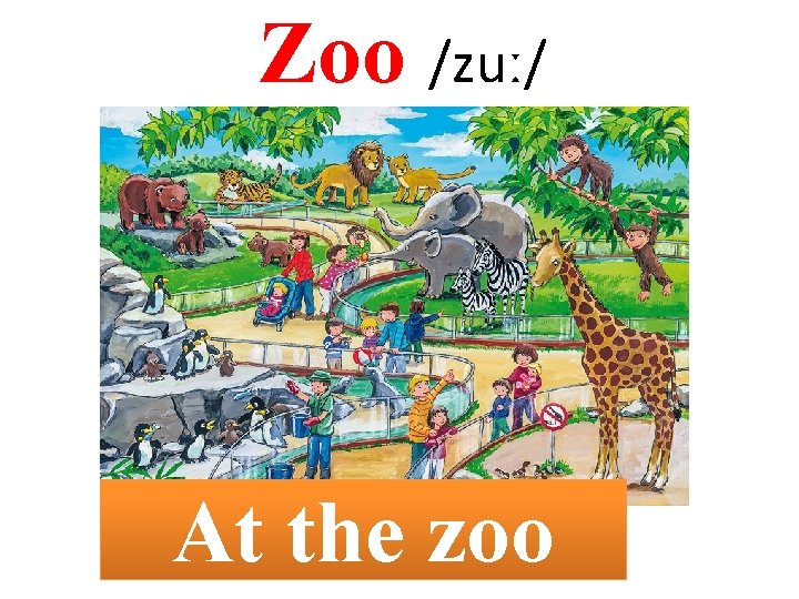 Zoo /zuː/ At the zoo 