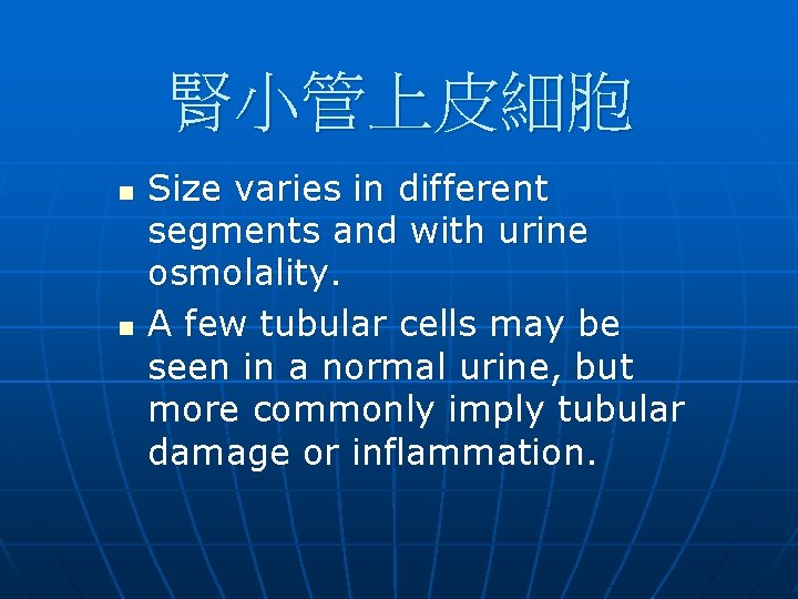 腎小管上皮細胞 n n Size varies in different segments and with urine osmolality. A few 腎小管上皮細胞 n n Size varies in different segments and with urine osmolality. A few
