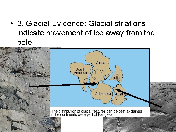  • 3. Glacial Evidence: Glacial striations indicate movement of ice away from the