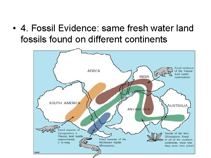  • 4. Fossil Evidence: same fresh water land fossils found on different continents