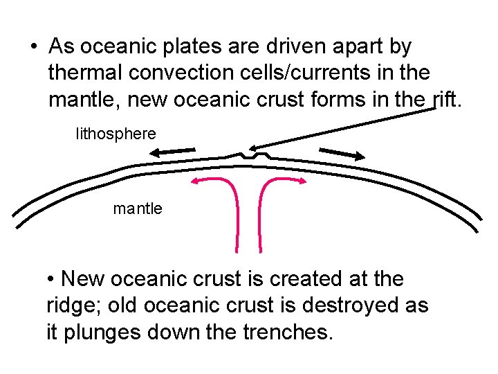  • As oceanic plates are driven apart by thermal convection cells/currents in the