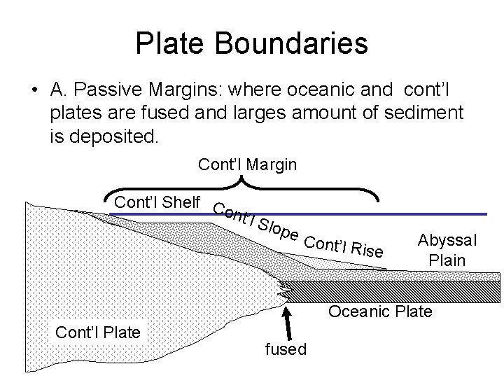 Plate Boundaries • A. Passive Margins: where oceanic and cont’l plates are fused and