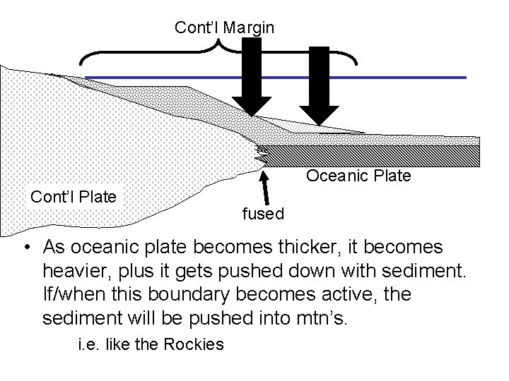 Cont’l Margin Oceanic Plate Cont’l Plate fused • As oceanic plate becomes thicker, it