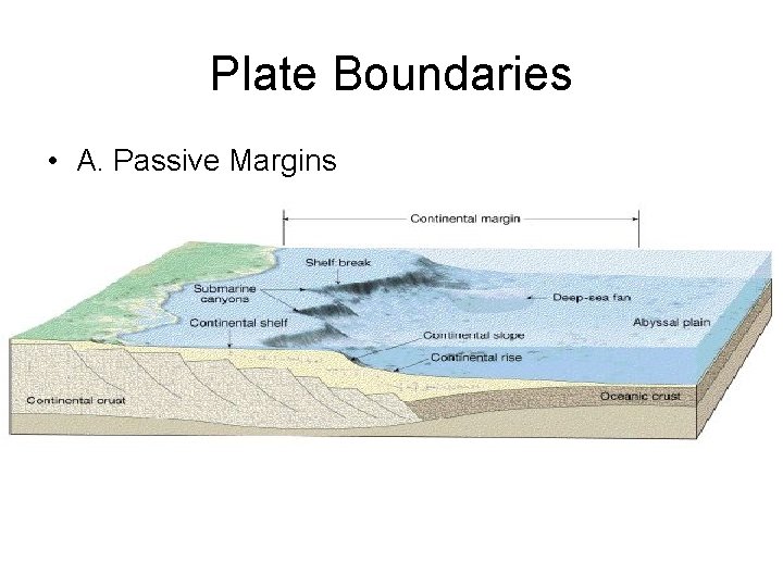 Plate Boundaries • A. Passive Margins 