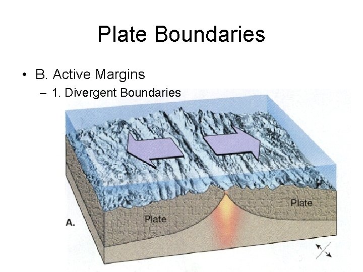 Plate Boundaries • B. Active Margins – 1. Divergent Boundaries 