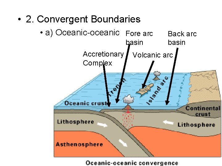  • 2. Convergent Boundaries • a) Oceanic-oceanic Fore arc basin Accretionary Complex Back