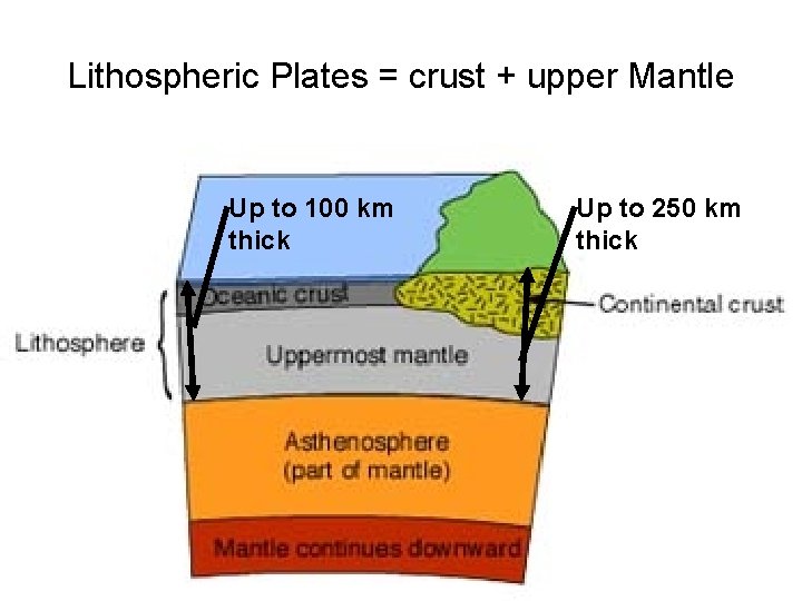 Lithospheric Plates = crust + upper Mantle Up to 100 km thick Up to