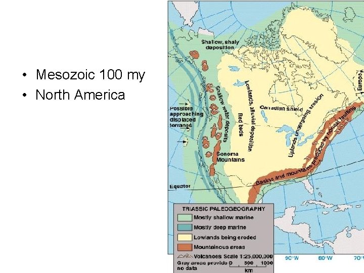  • Mesozoic 100 my • North America 