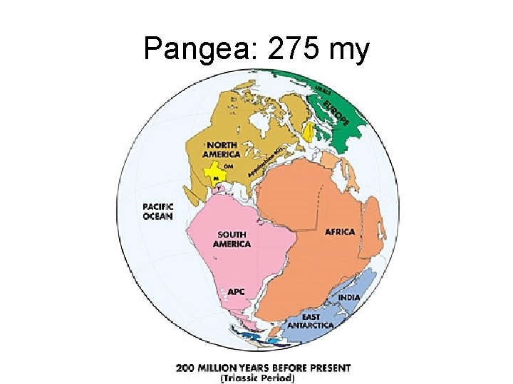 Pangea: 275 my 