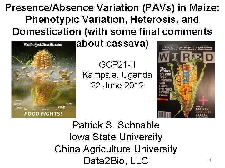 Presence/Absence Variation (PAVs) in Maize: Phenotypic Variation, Heterosis, and Domestication (with some final comments