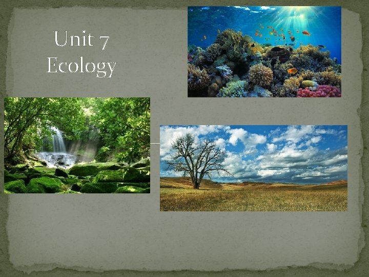 Unit 7 Ecology 