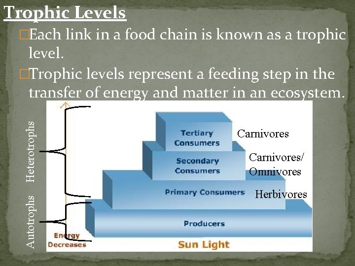 Trophic Levels �Each link in a food chain is known as a trophic Autotrophs