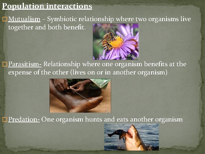 Population interactions � Mutualism – Symbiotic relationship where two organisms live together and both