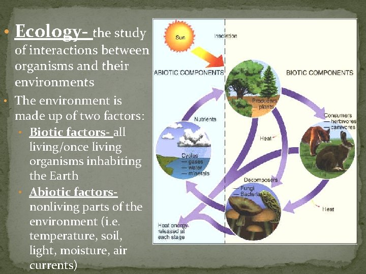  • Ecology- the study of interactions between organisms and their environments • The