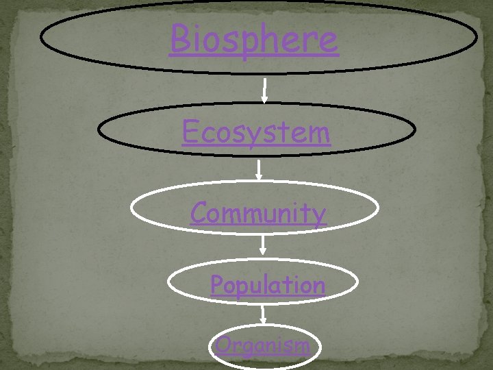 Biosphere Ecosystem Community Population Organism 