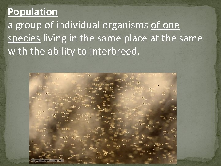 Population a group of individual organisms of one species living in the same place