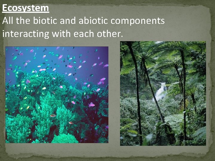 Ecosystem All the biotic and abiotic components interacting with each other. 