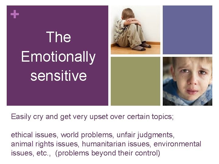 + The Emotionally sensitive Easily cry and get very upset over certain topics; ethical