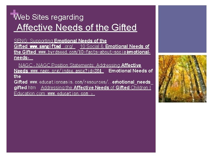 +Web Sites regarding Affective Needs of the Gifted SENG: Supporting Emotional Needs of the