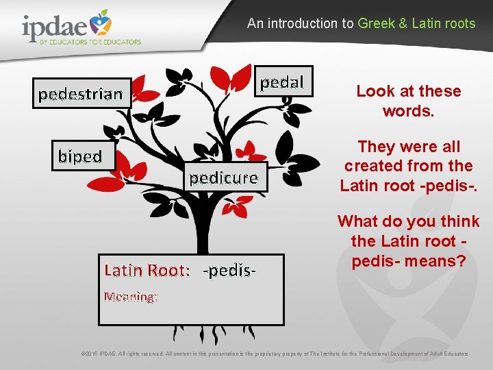 An introduction to Greek & Latin roots pedal pedestrian biped pedicure Latin Root: -pedis-