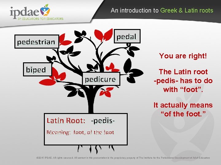 An introduction to Greek & Latin roots pedal pedestrian You are right! biped pedicure