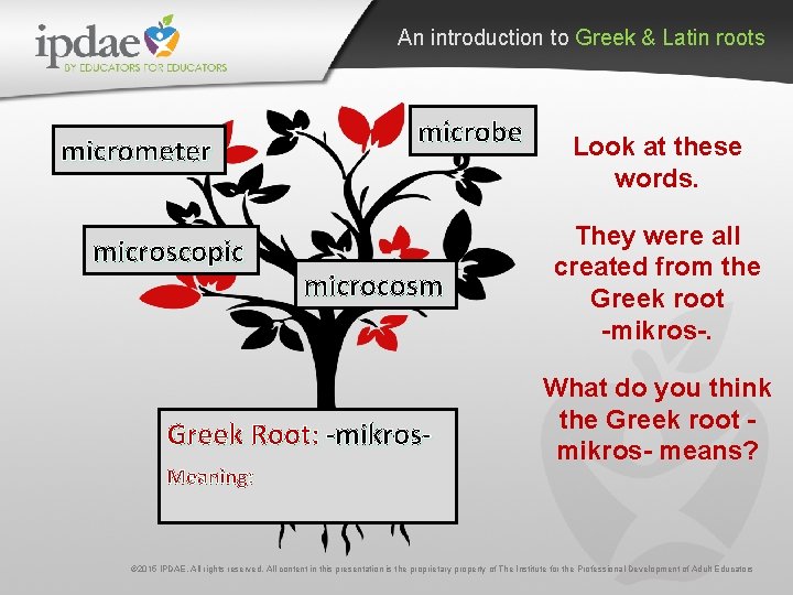 An introduction to Greek & Latin roots micrometer microscopic microbe microcosm Greek Root: -mikros.