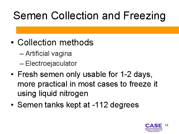 Semen Collection and Freezing • Collection methods – Artificial vagina – Electroejaculator • Fresh