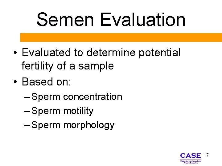 Semen Evaluation • Evaluated to determine potential fertility of a sample • Based on: