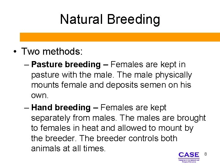 Natural Breeding • Two methods: – Pasture breeding – Females are kept in pasture