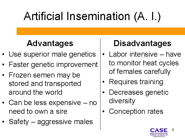 Artificial Insemination (A. I. ) Advantages Disadvantages • Use superior male genetics • Faster