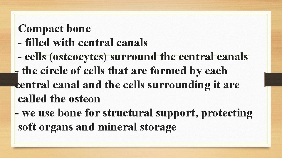 Compact bone - filled with central canals - cells (osteocytes) surround the central canals