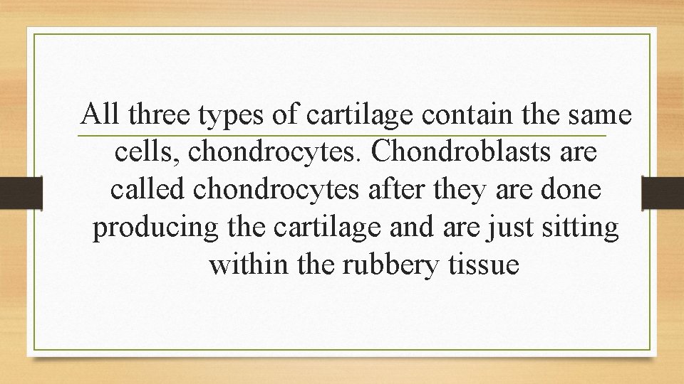 All three types of cartilage contain the same cells, chondrocytes. Chondroblasts are called chondrocytes