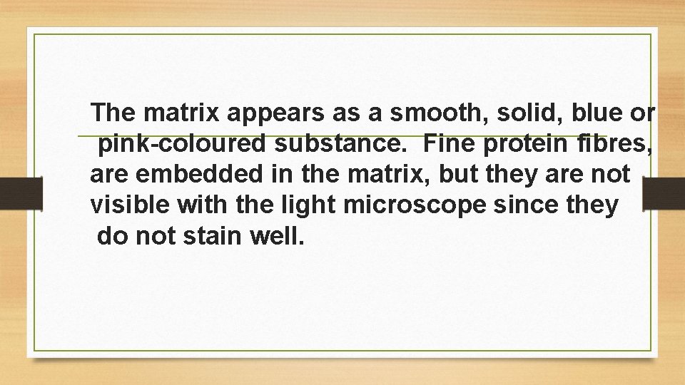 The matrix appears as a smooth, solid, blue or pink-coloured substance. Fine protein fibres,