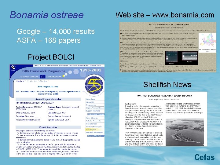 Bonamia ostreae Web site – www. bonamia. com Google – 14, 000 results ASFA