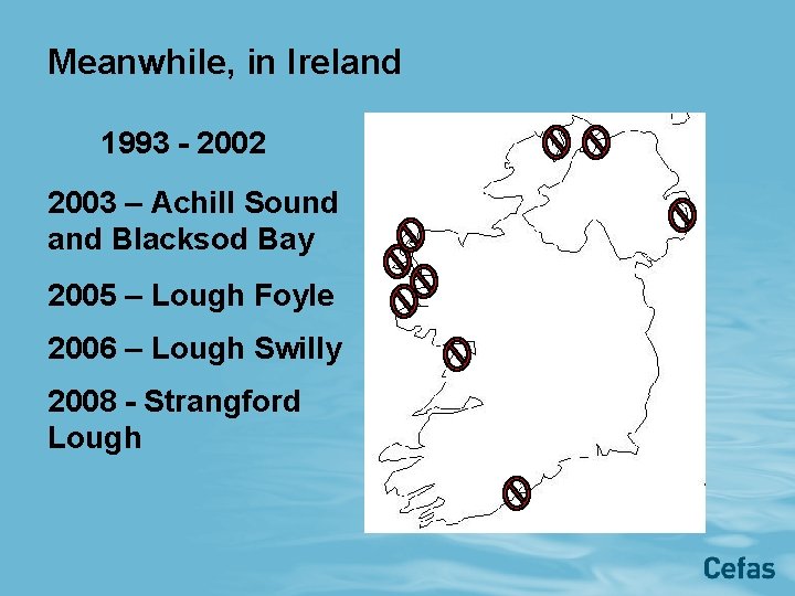 Meanwhile, in Ireland 1993 - 2002 2003 – Achill Sound and Blacksod Bay 2005