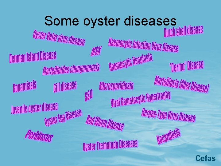 Ian Laing Some oyster diseases List of Diseases
