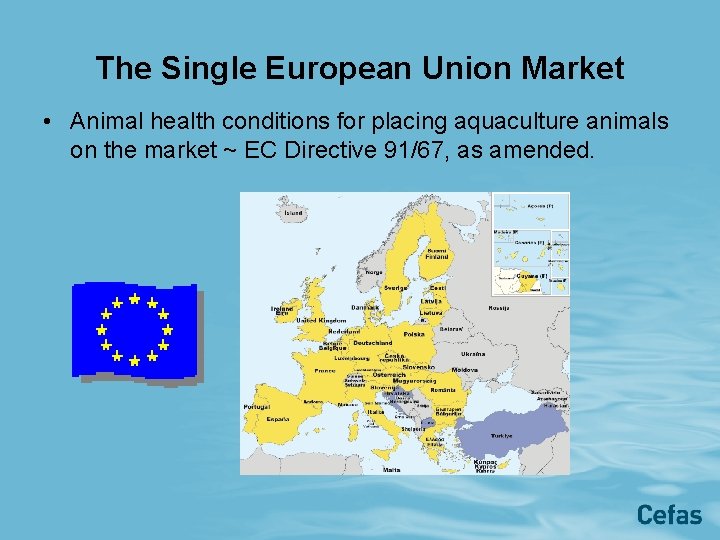 The Single European Union Market • Animal health conditions for placing aquaculture animals on