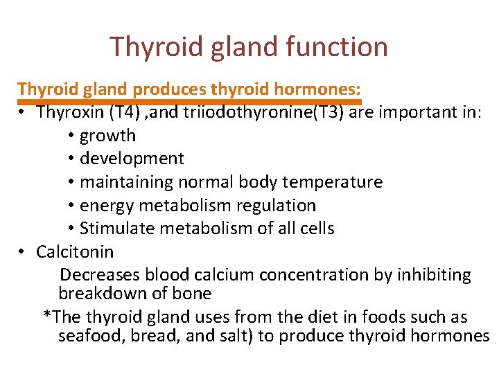 Thyroid gland function Thyroid gland produces thyroid hormones: • Thyroxin (T 4) , and