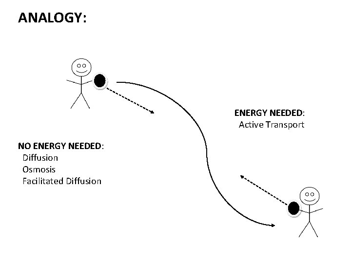 ANALOGY: ENERGY NEEDED: Active Transport NO ENERGY NEEDED: Diffusion Osmosis Facilitated Diffusion 
