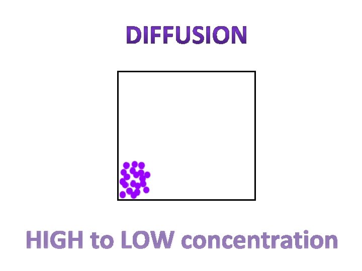 HIGH to LOW concentration 