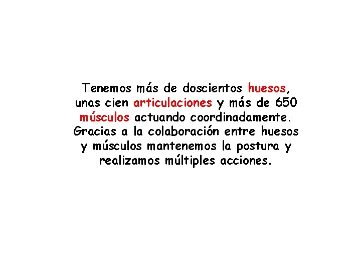 Tenemos más de doscientos huesos, unas cien articulaciones y más de 650 músculos actuando