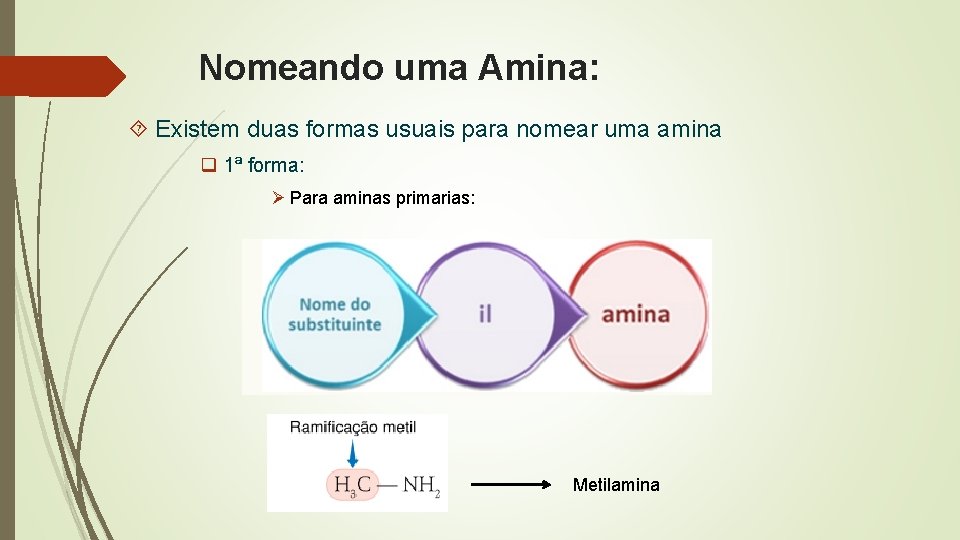 Nomeando uma Amina: Existem duas formas usuais para nomear uma amina q 1ª forma: Nomeando uma Amina: Existem duas formas usuais para nomear uma amina q 1ª forma: