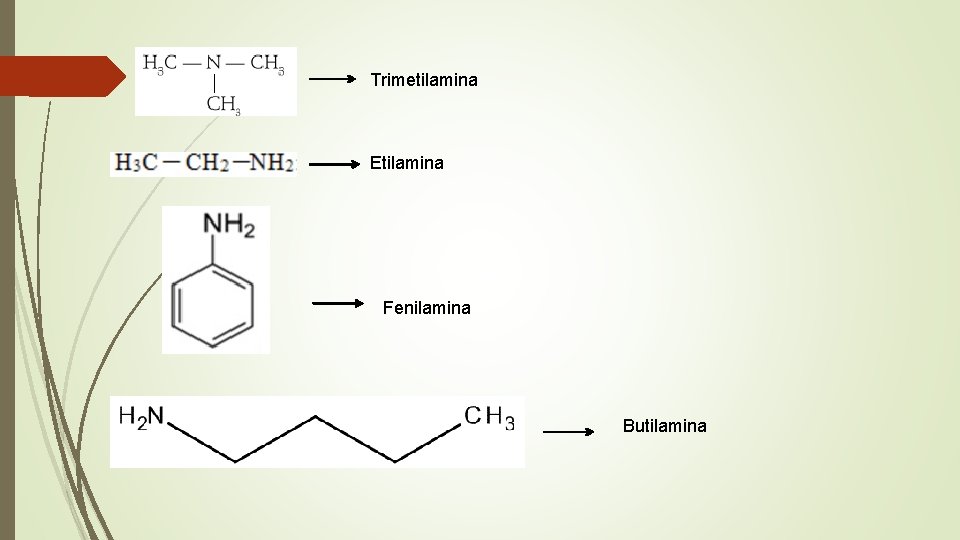 Trimetilamina Etilamina Fenilamina Butilamina Trimetilamina Etilamina Fenilamina Butilamina