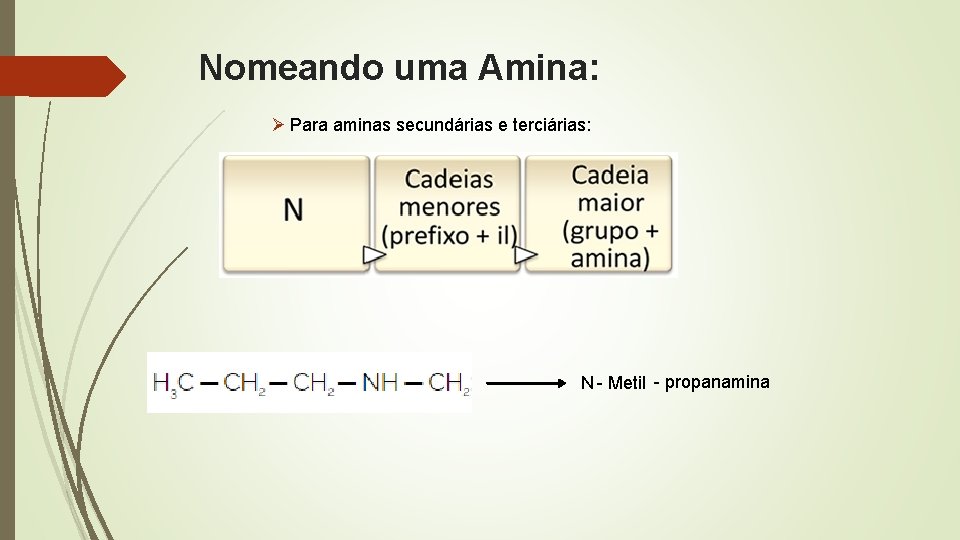 Nomeando uma Amina: Ø Para aminas secundárias e terciárias: N - Metil - propanamina Nomeando uma Amina: Ø Para aminas secundárias e terciárias: N - Metil - propanamina