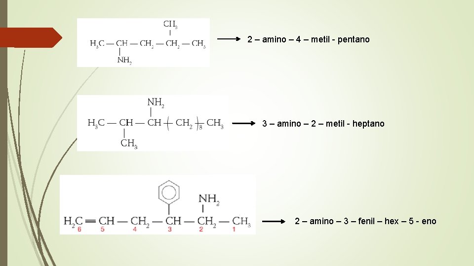 2 – amino – 4 – metil - pentano 3 – amino – 2 2 – amino – 4 – metil - pentano 3 – amino – 2