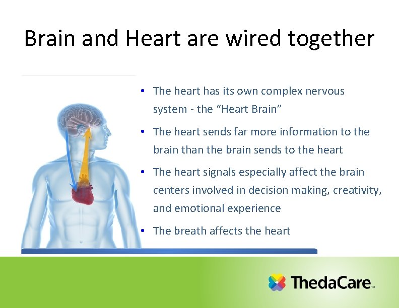 Brain and Heart are wired together • The heart has its own complex nervous Brain and Heart are wired together • The heart has its own complex nervous