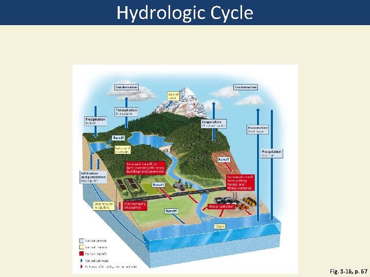 Hydrologic Cycle Fig. 3 -16, p. 67 Hydrologic Cycle Fig. 3 -16, p. 67