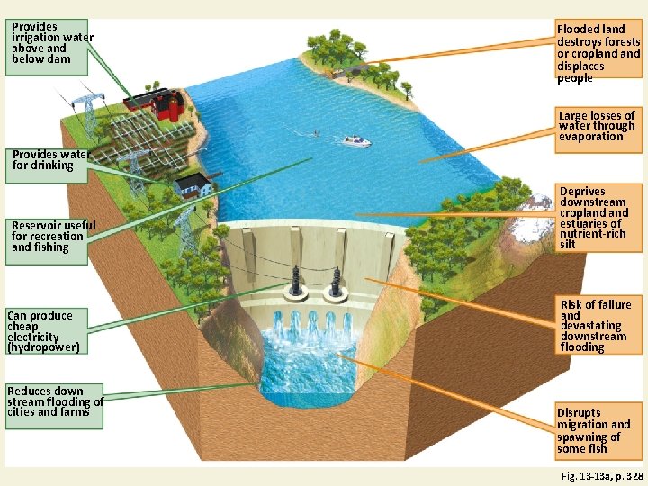 Provides irrigation water above and below dam Flooded land destroys forests or cropland displaces