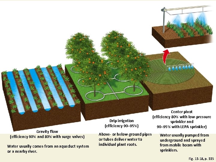 Drip irrigation (efficiency 90– 95%) Gravity flow (efficiency 60% and 80% with surge valves) Drip irrigation (efficiency 90– 95%) Gravity flow (efficiency 60% and 80% with surge valves)